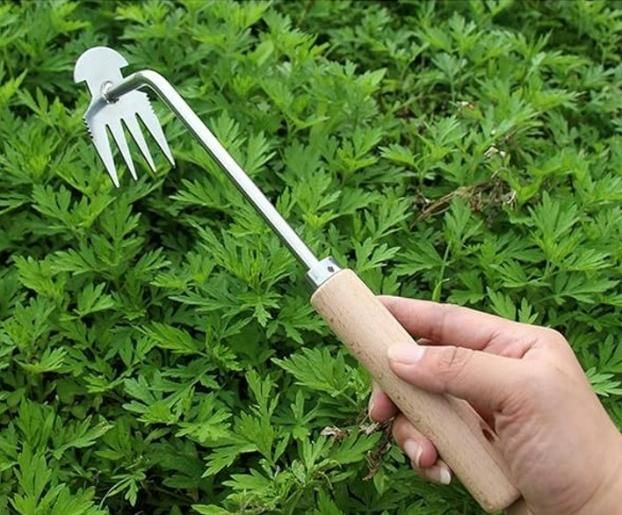 š± Multifunctional Stainless Steel Weeder Tool ā Perfect for Smart Gardening! šæ