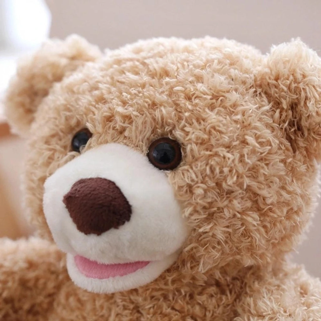 Playtime Bear {Rechargeable}