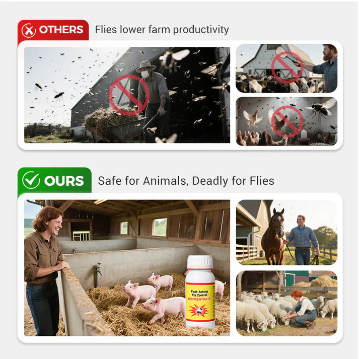 Universal High-Efficiency & Safe Fly Control Agent {BUY 1 GET 1 FREE}
